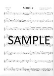 Latin Solo Workout: Calypso, Mambo, Salsa, Songo