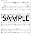 Learn to Play Flute Duets (score)