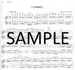 Learn to Play Flute Duets (score)