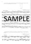 Learning the Piccolo