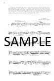 Learning the Piccolo