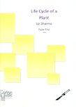 Life Cycle of a Plant