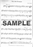 Little Hornpipe, The
