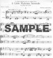 Little Welcome Serenade (score only)