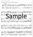 Magic Flute (score form)