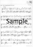 Magic Flute (score form)