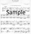 Magic Flute (score form)
