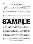 Magic Flute - Song with Variations