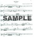 Magical Flute (Book 3) - An Anthology of Canadian Flute Music