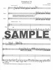 Majestic Flute Trios (v.1)