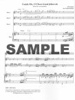 Majestic Flute Trios (v.4)