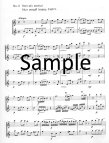 Marriage of Figaro (score form)