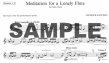 Meditation for a Lonely Flute