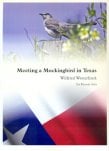 Meeting a Mockingbird in Texas