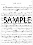 Methodical Sonatas (v.2) (7-12)