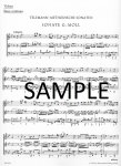 Methodical Sonatas(v.1)(1-2)(g,A)