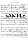 Methodical Sonatas(v.1)(1-2)(g,A)