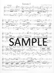 Methodical Sonatas(v.1)(1-3)(g,A,e)
