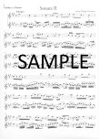 Methodical Sonatas(v.1)(1-3)(g,A,e)