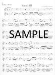 Methodical Sonatas(v.1)(1-3)(g,A,e)