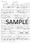 Methodical Sonatas(v.1)(1-3)(g,A,e)