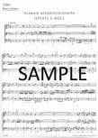 Methodical Sonatas(v.2)(3-4)(e,D)