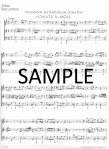 Methodical Sonatas(v.3)(5-6)(a,G)