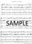 Methodical Sonatas(v.3)(5-6)(a,G)