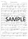 Methodical Sonatas(v.3)(7-9)(b,c,E)