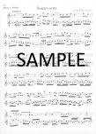 Methodical Sonatas(v.4)(10-12)(Bb,d,C)