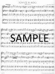 Methodical Sonatas(v.4)(7-8)(b,c)