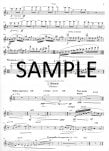 Miami Flute Suite