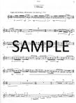 Miami Flute Suite