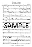 Miniature Overture