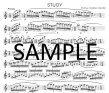 Modern English Flute Studies