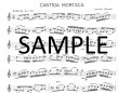 Modern English Flute Studies