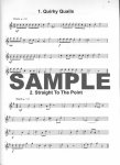 Modern Flute Player, The - 40 Graded Pieces