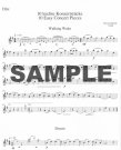 Modern Flutist 1 - 10 Easy Concert Pieces