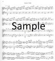 Modern Flutist 2 - Twenty Duets (score form)