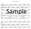 Modern Flutist 3 -Fourteen Trios (Score Only)