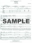 Mosaics -- A trio for flute, bassoon and marimba