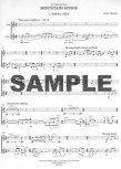 Mountain Songs for flute and guitar
