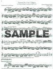 Moyse Collection of Intermediate Flute Classics