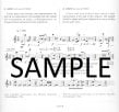 Multiphonic Flute