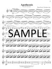 Music for Four-The Nutcracker (set 2)