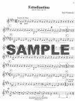 Music for Three (v.4) Rags & Waltzes (part 2 clarinet)