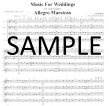 Music For Weddings(v.1)