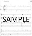 Music Medals:Copper Flute Ensemble Pieces   (sc)