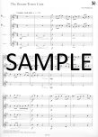 Music Medals:Silver Flute Ensemble Pieces  (score)