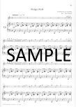 My First Concert-24 Easy Concert Pieces from 5 Centuries